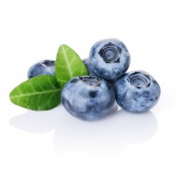 Blueberry (wild) дикая черника 